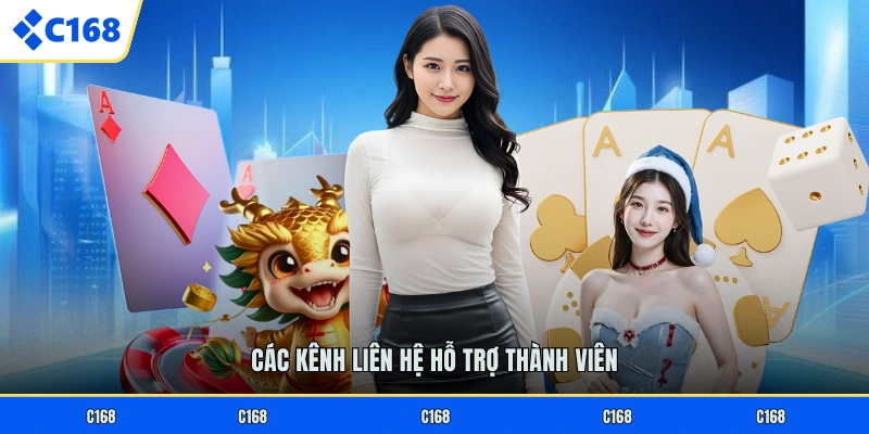 Các kênh liên hệ hỗ trợ thành viên