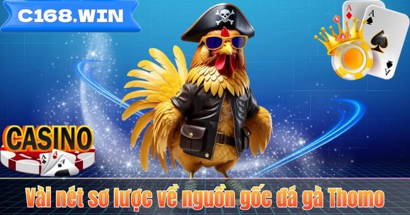 Vài nét sơ lược về nguồn gốc đá gà Thomo